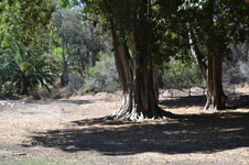 Enlarge photo 20