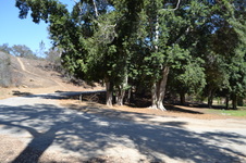 Enlarge photo 22