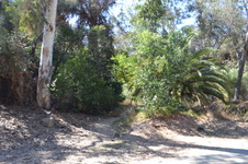 Enlarge photo 23