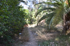 Enlarge photo 24
