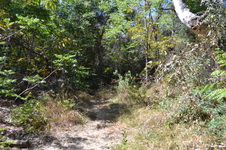Enlarge photo 25