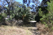 Enlarge photo 26
