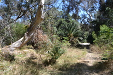 Enlarge photo 27