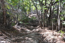 Enlarge photo 28