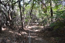 Enlarge photo 29