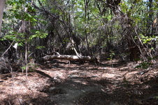 Enlarge photo 30