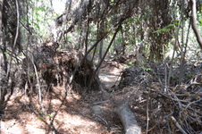 Enlarge photo 31