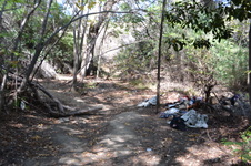Enlarge photo 32
