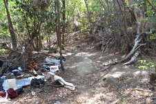 Enlarge photo 33