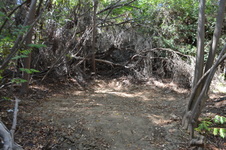 Enlarge photo 34