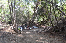 Enlarge photo 35