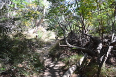 Enlarge photo 36