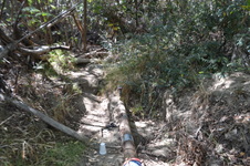 Enlarge photo 37