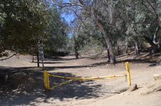 Enlarge photo 40