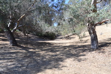 Enlarge photo 42