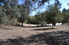Enlarge photo 43
