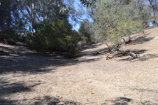 Enlarge photo 44
