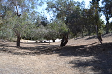 Enlarge photo 45