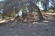 Enlarge photo 46