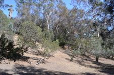 Enlarge photo 47