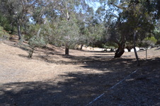 Enlarge photo 48
