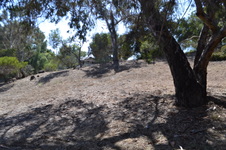 Enlarge photo 49