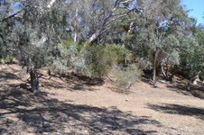 Enlarge photo 50