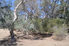 Enlarge photo 51