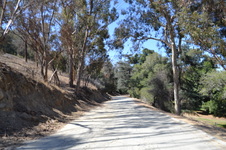 Enlarge photo 53