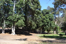 Enlarge photo 54