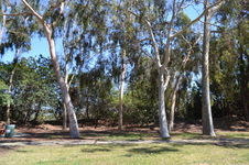 Enlarge photo 6