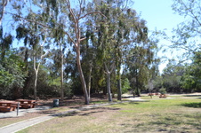 Enlarge photo 8