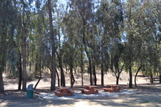 Enlarge photo 10