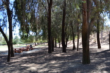 Enlarge photo 11