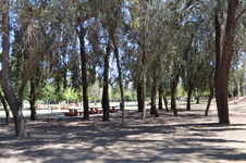 Enlarge photo 12