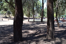 Enlarge photo 15