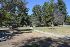 Enlarge photo 16