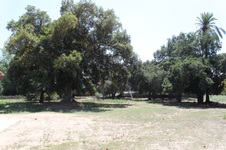 Enlarge photo 6