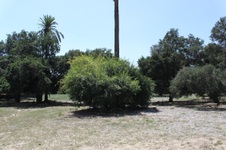 Enlarge photo 7