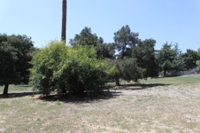 Enlarge photo 12