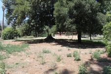 Enlarge photo 18