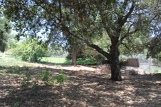 Enlarge photo 24
