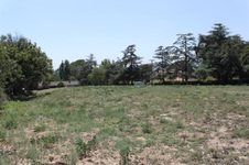 Enlarge photo 25