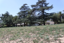 Enlarge photo 26