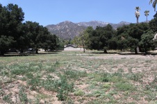 Enlarge photo 28