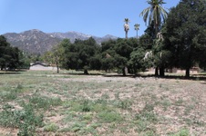 Enlarge photo 29
