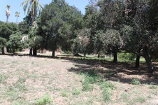 Enlarge photo 30