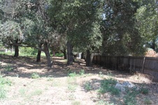 Enlarge photo 31