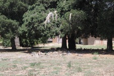 Enlarge photo 32