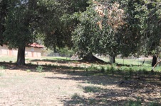 Enlarge photo 33